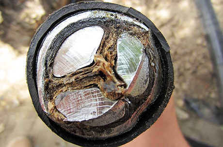 Прием алюминиевого кабеля